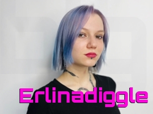 Erlinadiggle