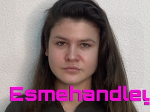 Esmehandley