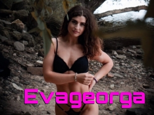 Evageorga