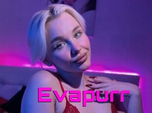 Evapurr