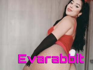 Evarabbit