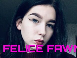 FELICE_FAWN