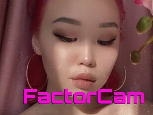 FactorCam