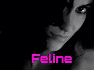 Feline