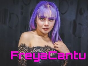 FreyaCantu