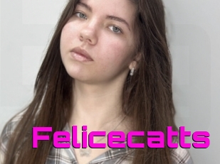 Felicecatts