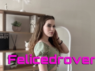 Felicedrover