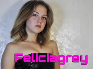 Feliciagrey