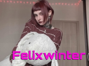 Felixwinter