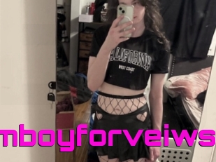 Femboyforveiws