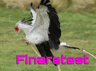Finaretest