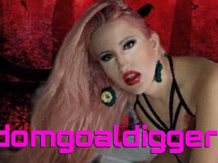 Findomgoaldigger