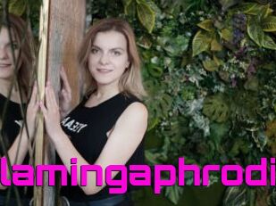 Flamingaphrodi