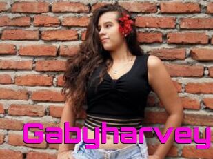Gabyharvey