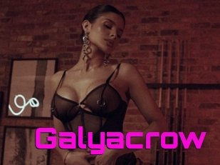 Galyacrow