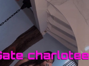 Gate_charlotee