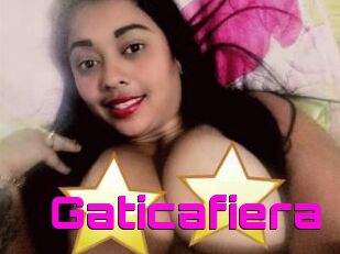 Gaticafiera