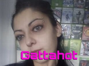Gattahot