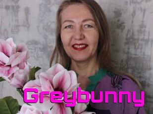 Greybunny