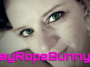 HoneyRopeBunny
