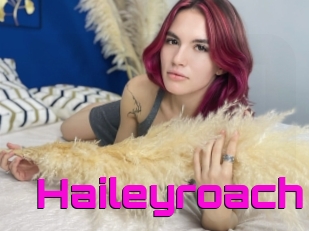 Haileyroach