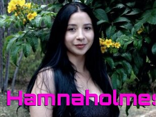 Hamnaholmes