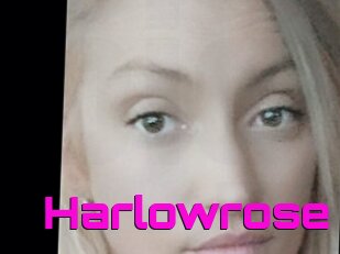 Harlowrose