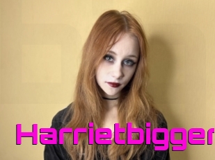 Harrietbigger