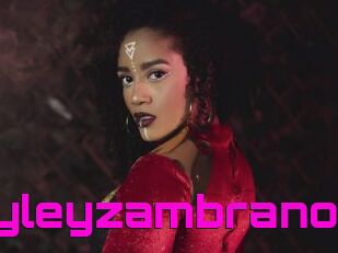 Hayleyzambrano