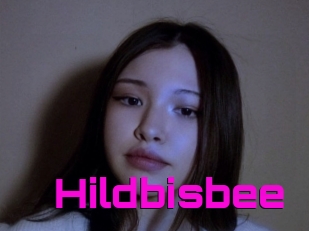 Hildbisbee