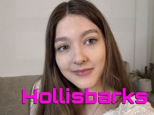 Hollisbarks