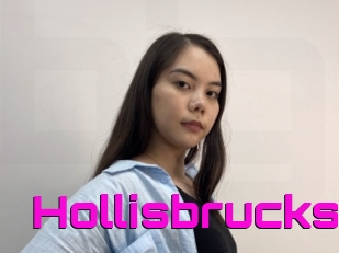 Hollisbrucks