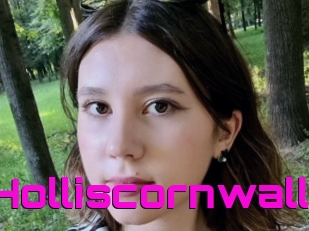 Holliscornwall