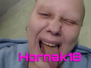 Hornak18