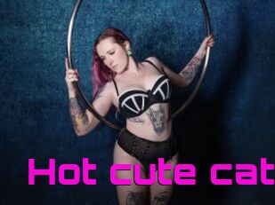 Hot_cute_cat