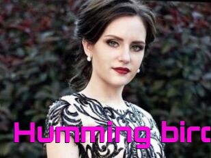 Humming_bird
