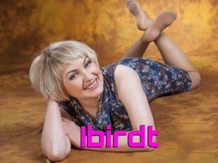 Ibirdt