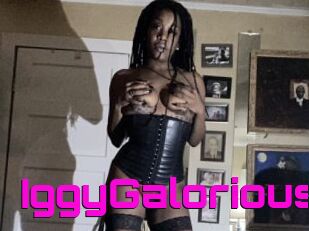 IggyGalorious