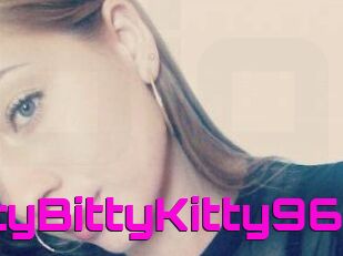 IttyBittyKitty96