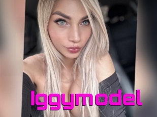 Iggymodel