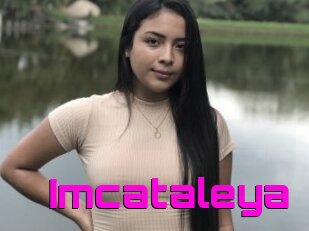 Imcataleya