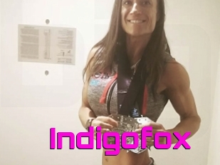 Indigofox