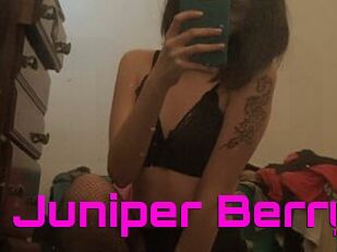 Juniper_Berry