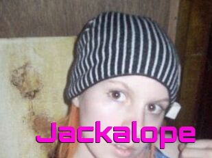 Jackalope