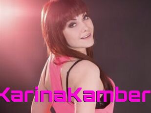 KarinaKamber