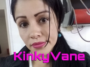 KinkyVane