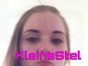 KleineStel
