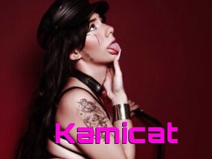 Kamicat