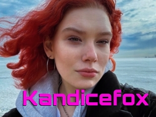 Kandicefox