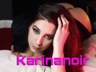 Karinanoir